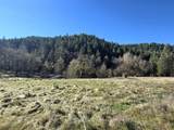 1065 Panther Gulch Road - Photo 8