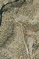00 Box Canyon Place - Photo 10
