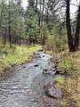  Opal Creek Road - Photo 17