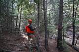  Opal Creek Road - Photo 2