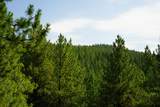  Opal Creek Road - Photo 9