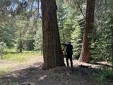  Franks Creek Road - Photo 1