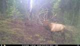  Franks Creek Road - Photo 15