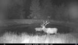  Franks Creek Road - Photo 16