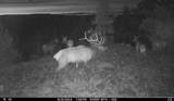  Franks Creek Road - Photo 17