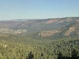  Franks Creek Road - Photo 19