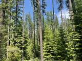  Franks Creek Road - Photo 2