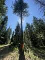 Franks Creek Road - Photo 21