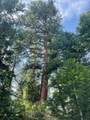  Franks Creek Road - Photo 22