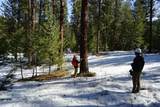  Franks Creek Road - Photo 5