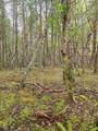 0 Mcmullen Creek Road - Photo 10