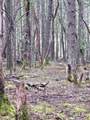 0 Mcmullen Creek Road - Photo 11