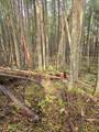 0 Mcmullen Creek Road - Photo 12