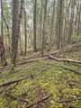 0 Mcmullen Creek Road - Photo 14