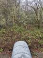 0 Mcmullen Creek Road - Photo 3