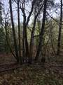 0 Mcmullen Creek Road - Photo 5