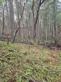 0 Mcmullen Creek Road - Photo 6
