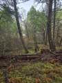 0 Mcmullen Creek Road - Photo 7