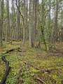 0 Mcmullen Creek Road - Photo 8