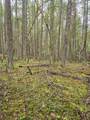 0 Mcmullen Creek Road - Photo 9