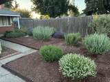 2430 Berkeley Street - Photo 23