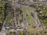 18101 Applegate Road - Photo 3