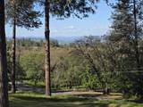 2807 Old Military Road - Photo 20