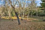 334 Andesite Drive - Photo 58