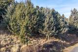 1238 Remarkable Drive - Photo 10