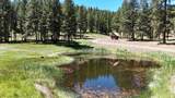 27990 Old Wolf Creek Road - Photo 42