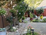 1116 Cashmere Drive - Photo 44