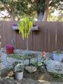 1116 Cashmere Drive - Photo 54