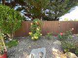 1116 Cashmere Drive - Photo 62