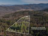 365 White Tail Drive - Photo 15