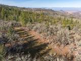 365 White Tail Drive - Photo 25
