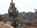 14090 Wickiup Road - Photo 2