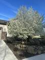 2793 33rd Street - Photo 48