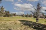 8855 Canyon Wren Court - Photo 28