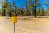 69255 Crooked Horseshoe Road - Photo 151