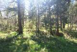 3356 Little Applegate Road - Photo 63