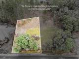2234 Linden Lane - Photo 13