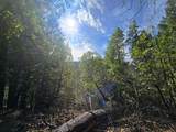 5395 Deer Creek Road - Photo 22