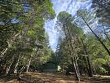 5395 Deer Creek Road - Photo 23