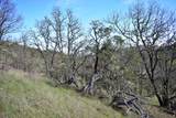12940 Highway 234 - Photo 13