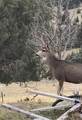 58400 4-K Overlook Lane - Photo 31