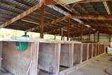 6181 Lower River Road - Photo 10