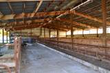 6181 Lower River Road - Photo 11