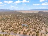 23445 Butterfield Trail - Photo 50