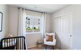 51785 Jubilee Pine Dr - Photo 14