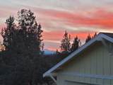 8906 Shad Road - Photo 53